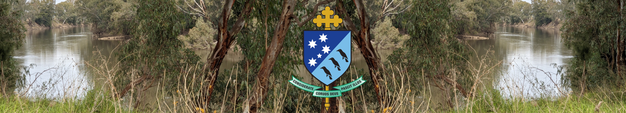 The Diocese of Wagga Wagga returns to normal pre-Covid practices.